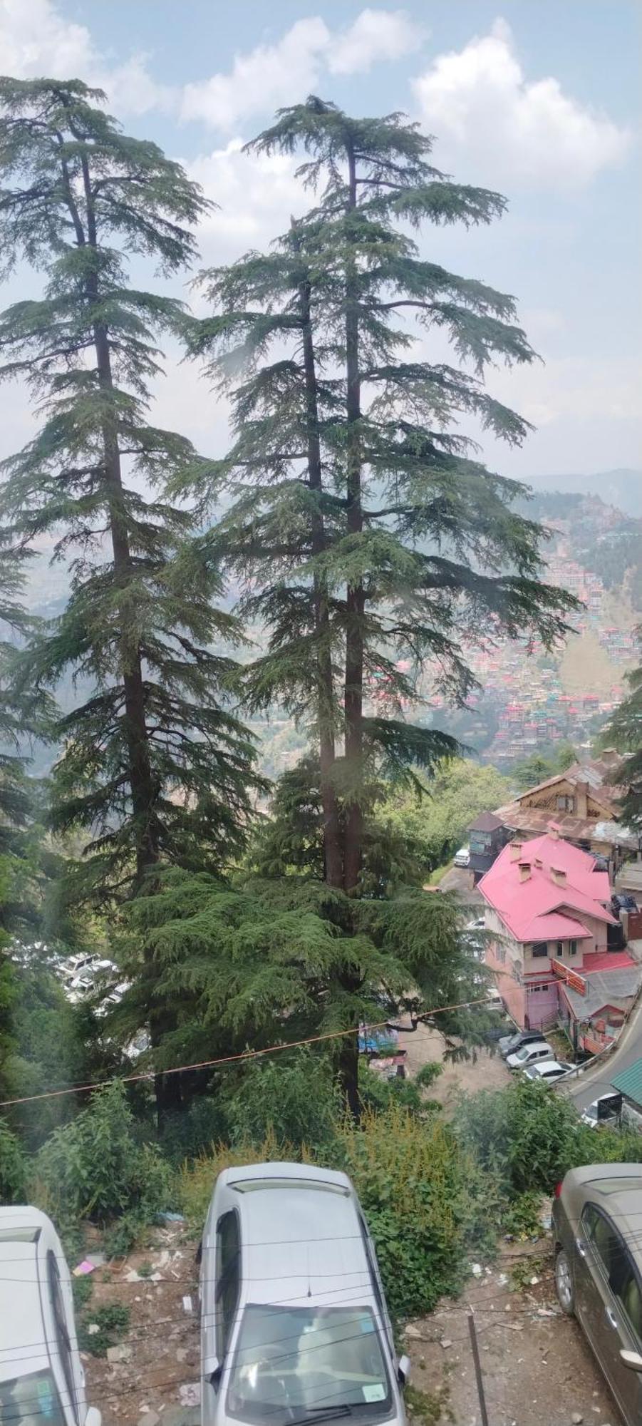 Krishna Hill Stay Near Mall Road Shimla Exterior photo